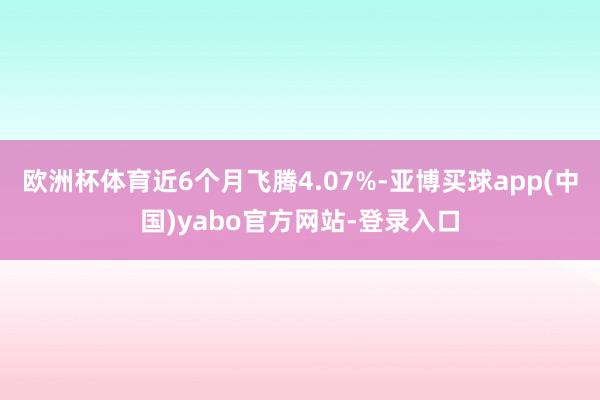 欧洲杯体育近6个月飞腾4.07%-亚博买球app(中国)yabo官方网站-登录入口