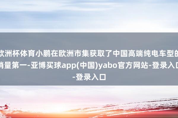 欧洲杯体育小鹏在欧洲市集获取了中国高端纯电车型的销量第一-亚博买球app(中国)yabo官方网站-登录入口