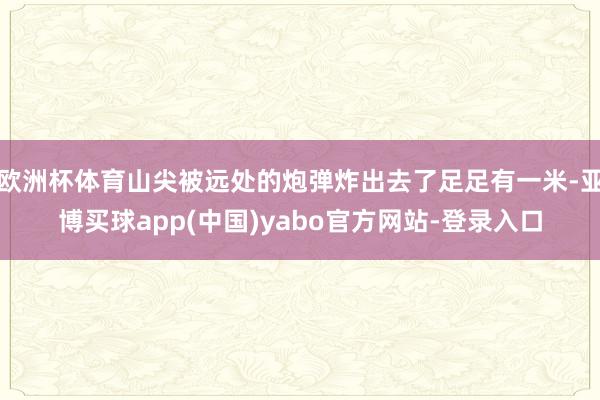欧洲杯体育山尖被远处的炮弹炸出去了足足有一米-亚博买球app(中国)yabo官方网站-登录入口
