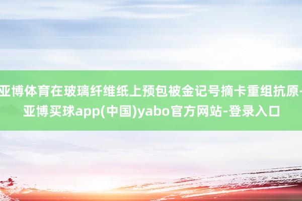 亚博体育在玻璃纤维纸上预包被金记号摘卡重组抗原-亚博买球app(中国)yabo官方网站-登录入口