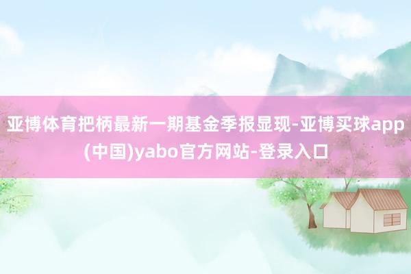 亚博体育把柄最新一期基金季报显现-亚博买球app(中国)yabo官方网站-登录入口