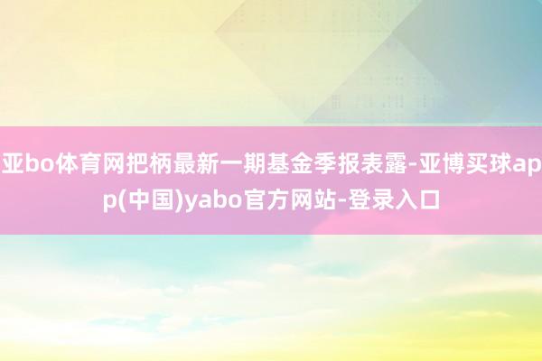 亚bo体育网把柄最新一期基金季报表露-亚博买球app(中国)yabo官方网站-登录入口