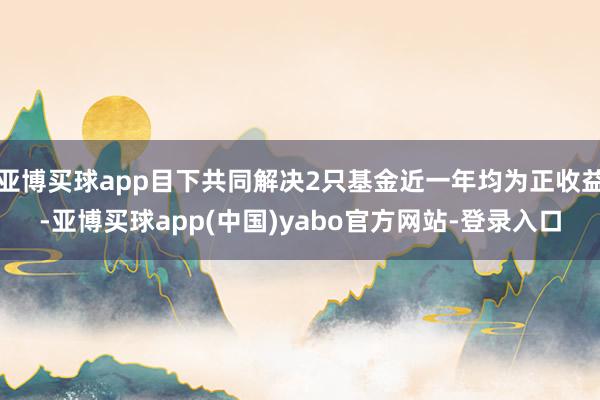 亚博买球app目下共同解决2只基金近一年均为正收益-亚博买球app(中国)yabo官方网站-登录入口