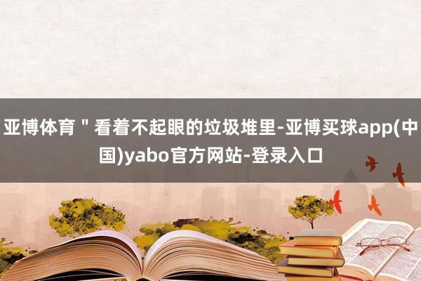 亚博体育＂看着不起眼的垃圾堆里-亚博买球app(中国)yabo官方网站-登录入口