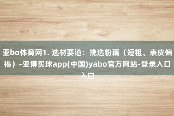 亚bo体育网1. 选材要道：挑选粉藕（短粗、表皮偏褐）-亚博买球app(中国)yabo官方网站-登录入口