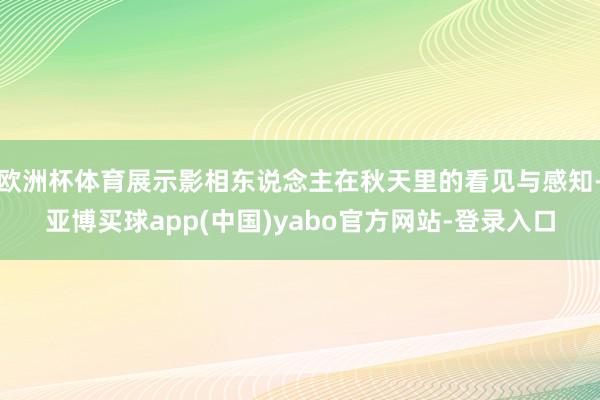 欧洲杯体育展示影相东说念主在秋天里的看见与感知-亚博买球app(中国)yabo官方网站-登录入口