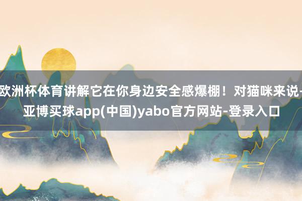 欧洲杯体育讲解它在你身边安全感爆棚!对猫咪来说-亚博买球app(中国)yabo官方网站-登录入口