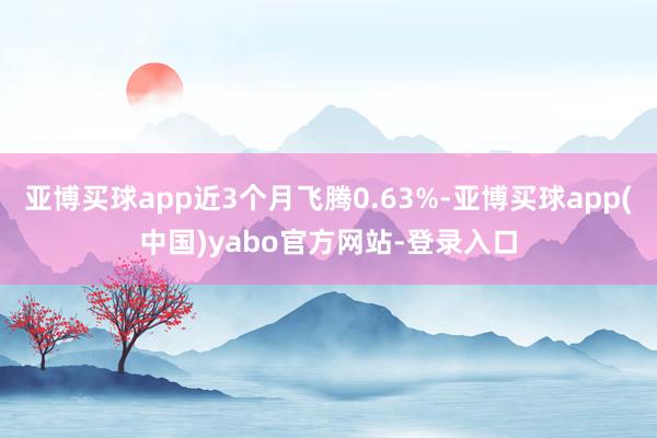 亚博买球app近3个月飞腾0.63%-亚博买球app(中国)yabo官方网站-登录入口