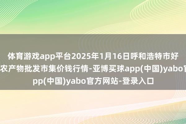 体育游戏app平台2025年1月16日呼和浩特市好意思通首府无公害农产物批发市集价钱行情-亚博买球app(中国)yabo官方网站-登录入口