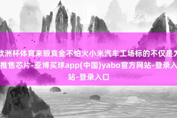 欧洲杯体育来锻真金不怕火小米汽车工场标的不仅是为了推售芯片-亚博买球app(中国)yabo官方网站-登录入口