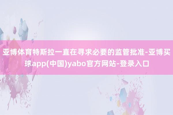 亚博体育　　特斯拉一直在寻求必要的监管批准-亚博买球app(中国)yabo官方网站-登录入口