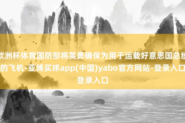 欧洲杯体育国防部将英勇确保为用于运载好意思国总统的飞机-亚博买球app(中国)yabo官方网站-登录入口